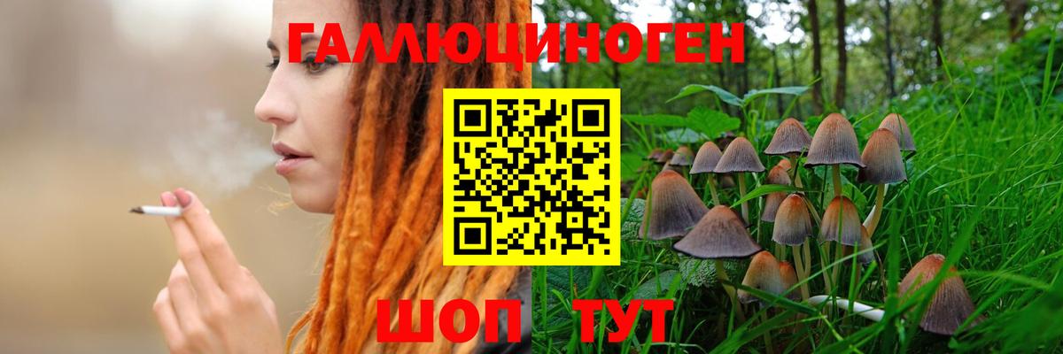 Галлюциногенные грибы MAGIC MUSHROOMS  Вход с VPN  Пушкино  Псилоцибиновые грибы Psilocybine cubensis 